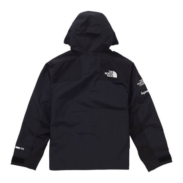 シュプリーム/ザ ノース フェイス アーク ロゴ マウンテン パーカ The North Face X シュプリーム コピー Arc Logo Mountain Parka SS19 WEEK 5