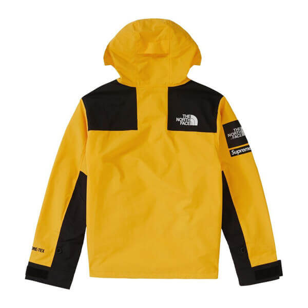 シュプリーム/ザ ノース フェイス アーク ロゴ マウンテン パーカ The North Face X シュプリーム コピー Arc Logo Mountain Parka SS19 WEEK 5