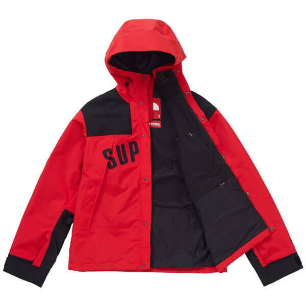 シュプリーム/ザ ノース フェイス アーク ロゴ マウンテン パーカ The North Face X シュプリーム コピー Arc Logo Mountain Parka SS19 WEEK 5