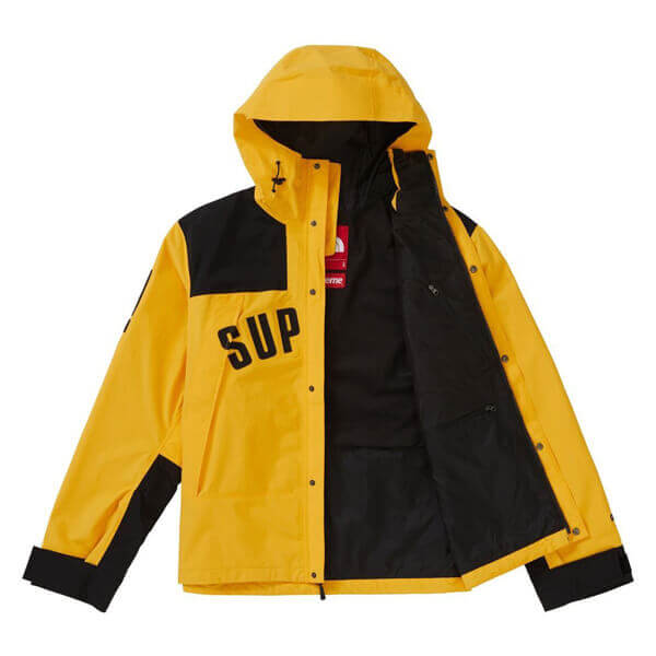 シュプリーム/ザ ノース フェイス アーク ロゴ マウンテン パーカ The North Face X シュプリーム コピー Arc Logo Mountain Parka SS19 WEEK 5