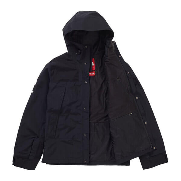 シュプリーム/ザ ノース フェイス アーク ロゴ マウンテン パーカ The North Face X シュプリーム コピー Arc Logo Mountain Parka SS19 WEEK 5