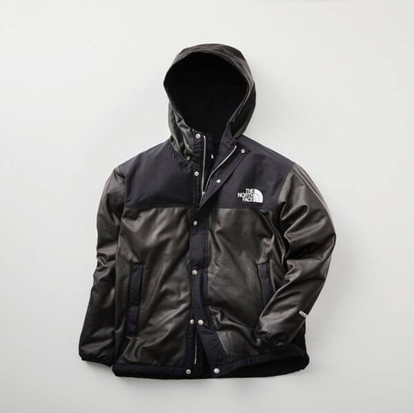 THE NORTH FACE GTX Pamir Jacket パミールジャケット 偽物 NP11861R