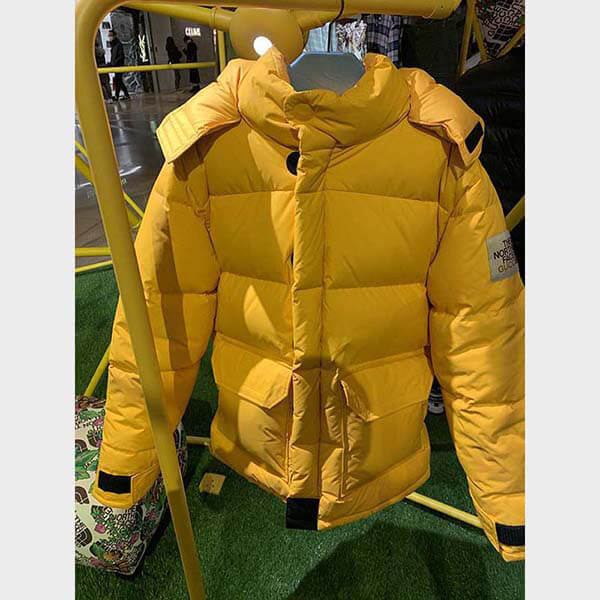 ザノースフェイス × グッチ DOWN JACKET ダウンコート 偽物 2色