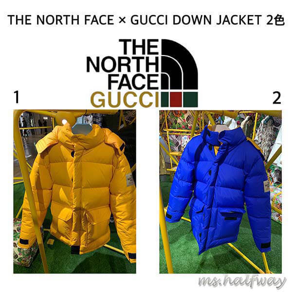 ザノースフェイス × グッチ DOWN JACKET ダウンコート 偽物 2色