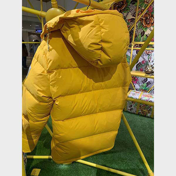 ザノースフェイス × グッチ DOWN JACKET ダウンコート 偽物 2色