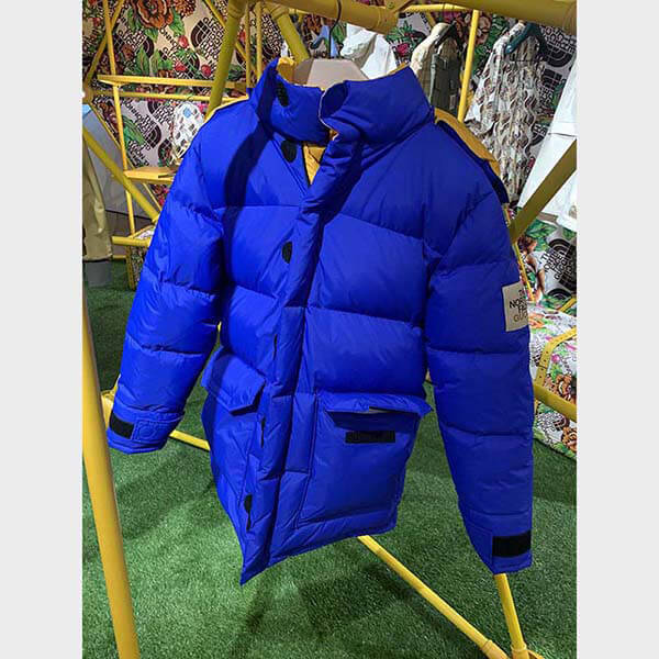 ザノースフェイス × グッチ DOWN JACKET ダウンコート 偽物 2色